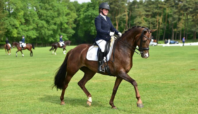 instructie les paard pony