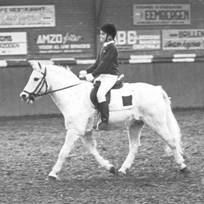 Eerste paard Kristel Kristel