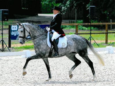 Paard Kristy's Uhway V